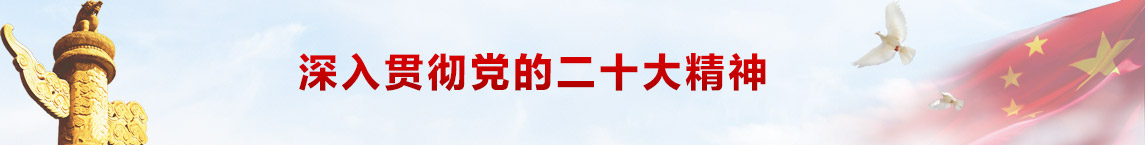 深入贯彻落实党的十九大精神