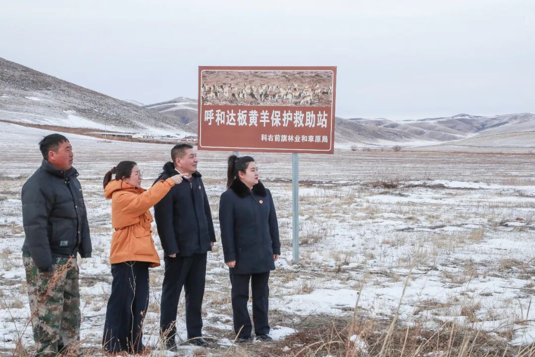 为了那只黄羊，我投出求助的漂流瓶